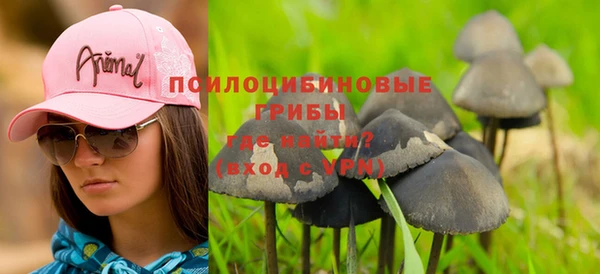 стаф Баксан