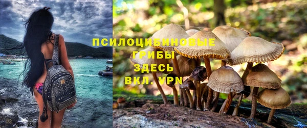 стаф Баксан