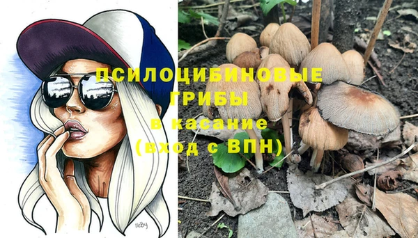 стаф Баксан